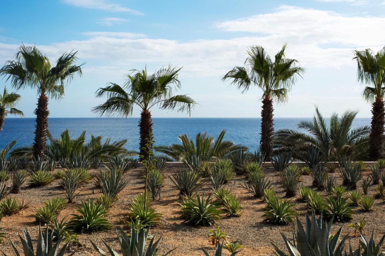 Casa Maat At Jw Marriott Los Cabos Beach Resort & Spa San Jose del Cabo Bagian luar foto